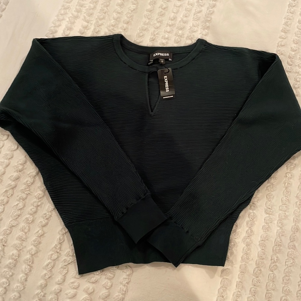 Express ribbed sweater